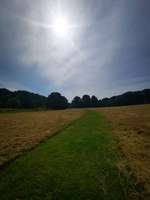 Hundeauslaufgebiet-Hundewiese an der Promenade-Bild