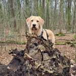 Ersteller:in Jenny Profilbild