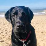 Ersteller:in Luisa Profilbild