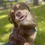 Ersteller:in Lena Profilbild