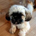 Ersteller:in Sabine Profilbild