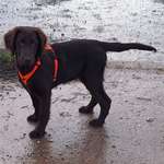 Ersteller:in Sabine Profilbild