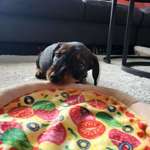 Ersteller:in Sarah Profilbild