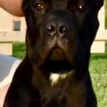 Suchmeldung-EYS-Bild