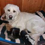 Ersteller:in Rita Profilbild