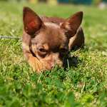 Ersteller:in Jacqueline Profilbild