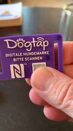 Hund weggelaufen?-Beitrag-Bild