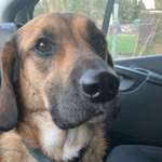 Ersteller:in Joanna Profilbild