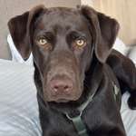 Ersteller:in Jenny Profilbild