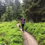 Ersteller:in Alisa Profilbild