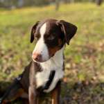 Ersteller:in Stefan Profilbild