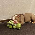 Ersteller:in Marcel Profilbild