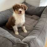 Ersteller:in Laura Profilbild