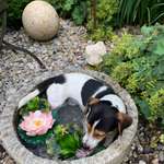 Ersteller:in Sieglinde Profilbild