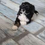 Ersteller:in Denise Profilbild