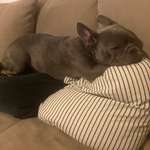 Ersteller:in Katharina Profilbild