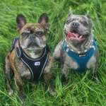 Ersteller:in Claudi Profilbild