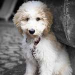 Ersteller:in Kristina Profilbild