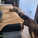 Ersteller:in Kay Profilbild