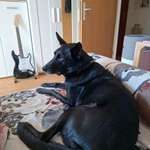 Ersteller:in Ina Profilbild