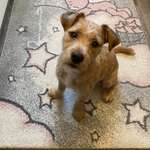 Ersteller:in Julia Profilbild