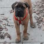 Ersteller:in Lena Profilbild