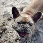 Ersteller:in Franziska Profilbild