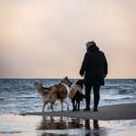 Ersteller:in Nicole Profilbild