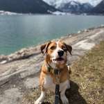 Ersteller:in Marlen Profilbild