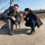 Ersteller:in Shyleen Profilbild