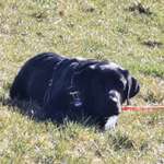 Ersteller:in Günter Profilbild