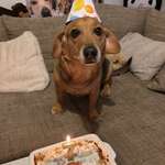 Ersteller:in Selin Profilbild