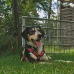 Ersteller:in Elisabeth Profilbild