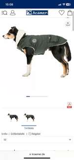 Hundejacke mit Füllung und wasserdicht-Beitrag-Bild