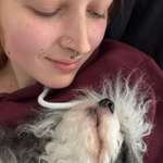 Ersteller:in Sophy Profilbild