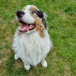 Ersteller:in Argjira Profilbild