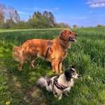 Ersteller:in Bettina Profilbild