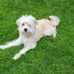 Ersteller:in Verena Profilbild