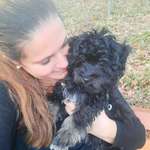 Ersteller:in Yasmin Profilbild