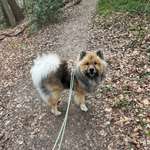 Ersteller:in Vera Profilbild