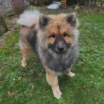 Ersteller:in Vera Profilbild