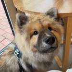 Ersteller:in Vera Profilbild