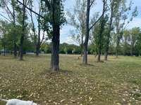 Hundeauslaufgebiet-Am Fuchsberg/Wiener Straße-Bild