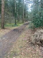 Hundeauslaufgebiet-Oldenburger Weg-Bild