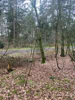 Hundeauslaufgebiet-Oldenburger Weg-Bild