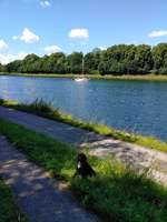 Hundeauslaufgebiet-Nord-Ostsee-Kanal Ufer-Bild