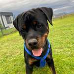 Ersteller:in Bernadette Profilbild