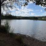 Hundeauslaufgebiet-Rödlicher Teich Schnepfenthal-Bild