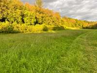 Hundeauslaufgebiet-Buchenbachtal bei Wolfsöden-Bild