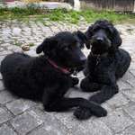 Ersteller:in Bettina Profilbild